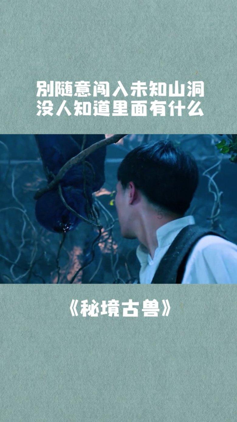 小猫钓鱼游戏龙王版有船
